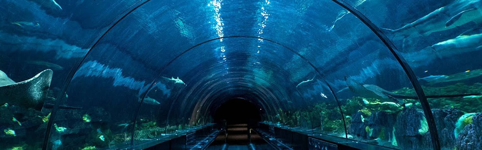 Coatings for aquariums